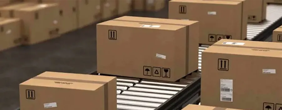 Packaging Line Conveyor System
manufacturer in rajkot